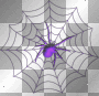 Purple Spider Web