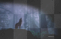 Animal Background