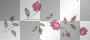 Flower Flowers Blume Blumen