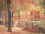 Scenery Background Scenery Background