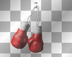 BOXING GLOVES 