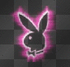 playboy bunny