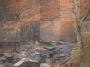 Animated Fall & Autumn Background