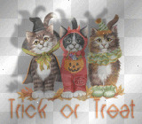 Halloween cats trick or treat