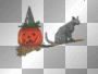 black cat animation halloween pumpkin