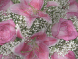 Bouquet Of Flowers