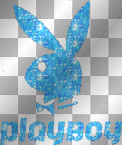 blue playboy