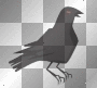 Crow Crow