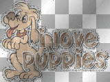 i love puppies
