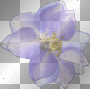fleur