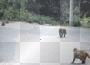 monkey-jacking!! monkey-jacking!!