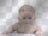 bebe