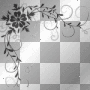 BLACK BORDER