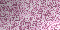 Pink glitter Background