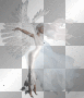 Ice Fairy