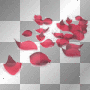 RED ROSE PETALS