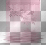 transparent
