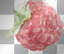 Raspberry Raspberry