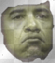 greenobama greenobama