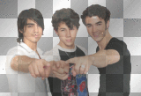 Jonas Brothers