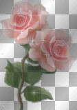 Animated roses