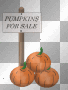 pumpkins for sale