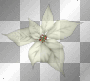 fleur 