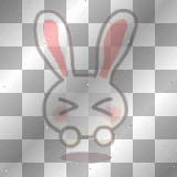 bunny