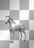 cavallo 