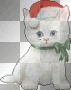 *cute kitten:)