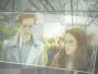 edward e bella