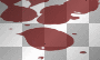 blood 