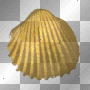 gold shell gold shell
