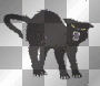 Chat noir 1 Chat noir 1