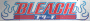 Bleach logo