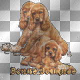 coker bonne journée