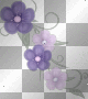 Transparent Purple Flowers  ;-}
