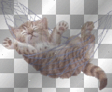chaton