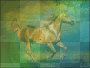 montage de cheval