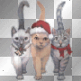 x-mas cats