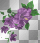 Purple Petunias Left Side