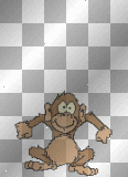 jumping chimp