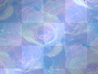Light blue roses