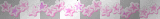 divisore stelline rosa