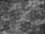 Snowstorm Bg