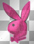 Pink- Playboy Bunny