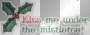 Kiss me under the mistletoe!