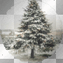 oh christmas tree