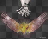 mani cuore