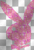 playboybunny2